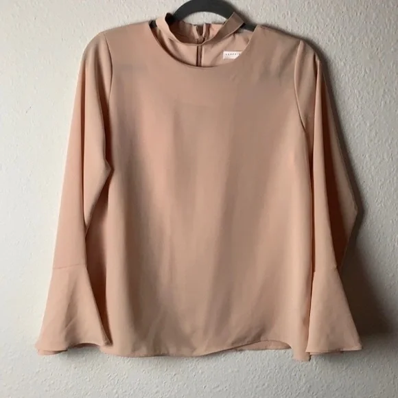 Darphin blush pink high neck boho bellsleeve chiffon blouse Sz S business casual - Picture 2 of 10